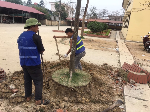 Dịch vụ cải tạo cảnh quan đô thị - Dịch Vụ Cây Xanh Vĩnh Phúc - Công Ty Cổ Phần Công Nghệ Môi Trường và Xây Dựng Vĩnh Phúc